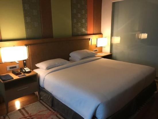 Hotel The Infinity Near Delhi Airport Nové Dillí Exteriér fotografie